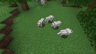 Angry wolves are deadly due to their ability to work as a team (Image via Mojang)